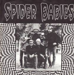 Spider Babies : Hey Baby
